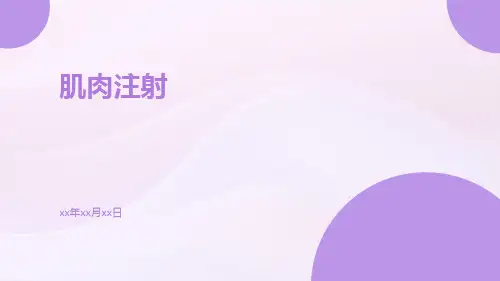 肌肉注射PPT