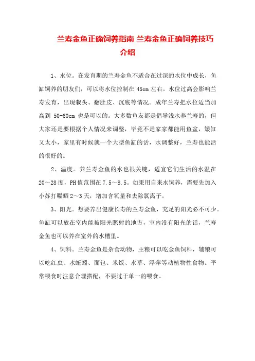 兰寿金鱼正确饲养指南兰寿金鱼正确饲养技巧介绍