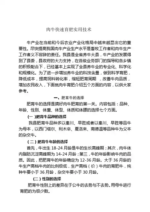 肉牛快速育肥实用技术