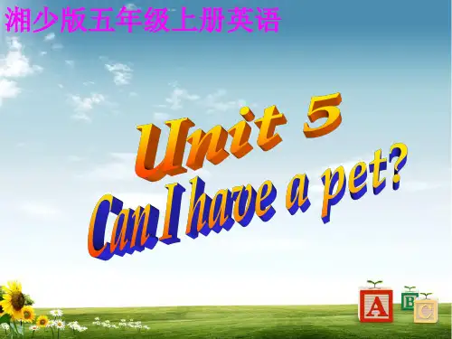 湘少版五年级英语上册Unit 5 Can I have a pet？