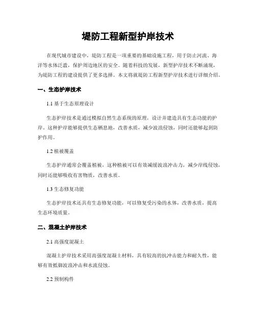堤防工程新型护岸技术