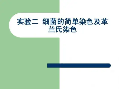 实验二 细菌的简单染色及革兰氏染色