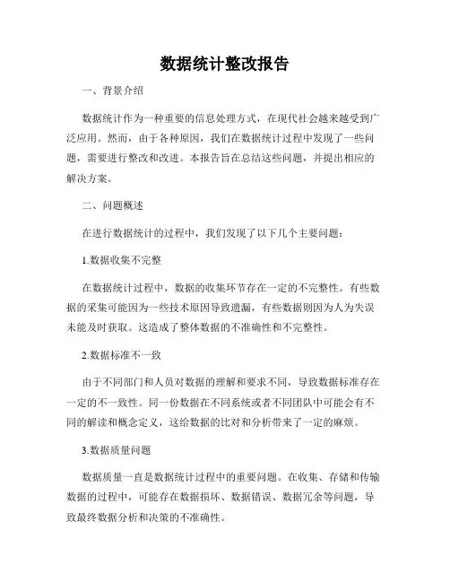 数据统计整改报告