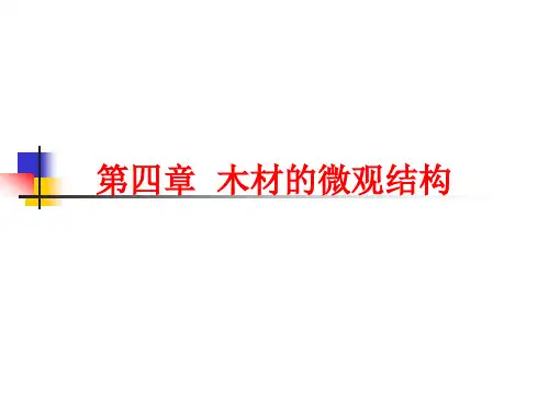 第四章  木材的微观结构