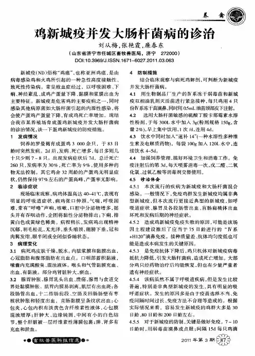 鸡新城疫并发大肠杆菌病的诊治