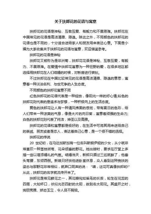 关于扶郎花的花语与寓意