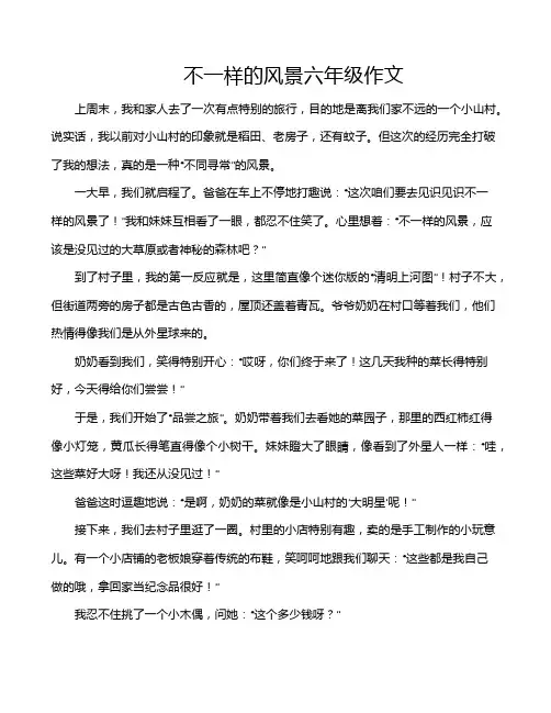 不一样的风景六年级作文