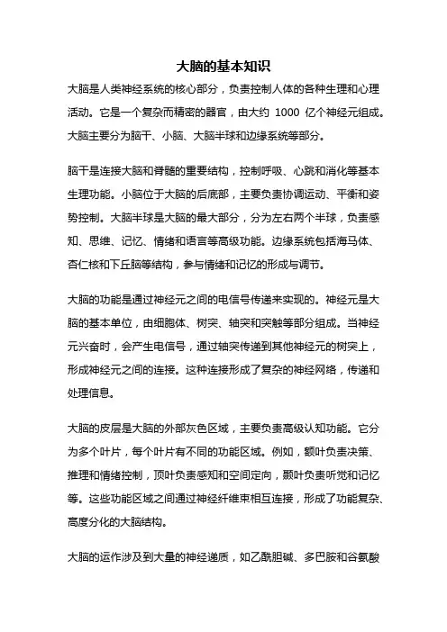 大脑的基本知识