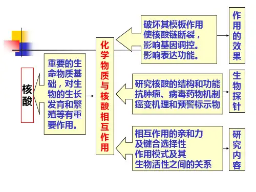 化学生物学第八章化学物质与核酸的相互作用ppt课件
