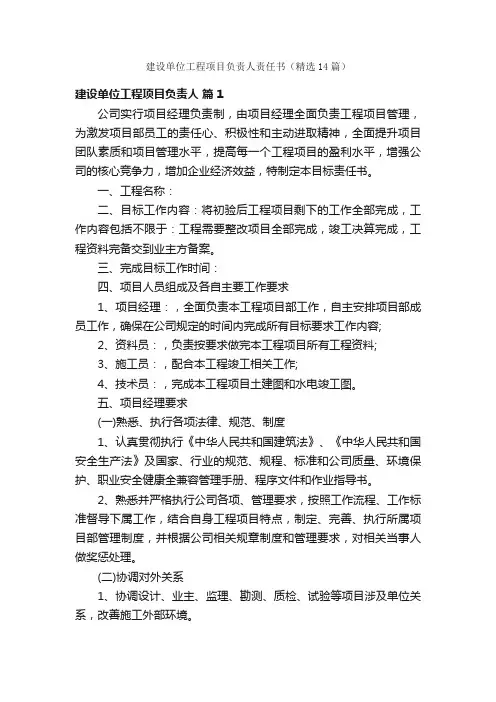 建设单位工程项目负责人责任书（精选14篇）