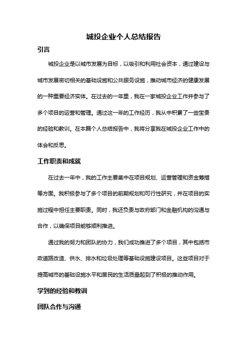 城投企业个人总结报告