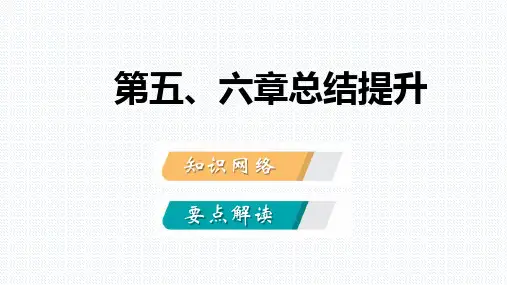 人教版八年级地理下册第五、六章复习课件(共40张PPT)