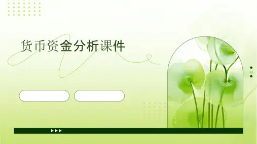 货币资金分析课件