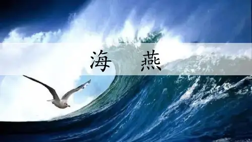 最新人教部编版九年级语文下册《海燕》精品ppt课件