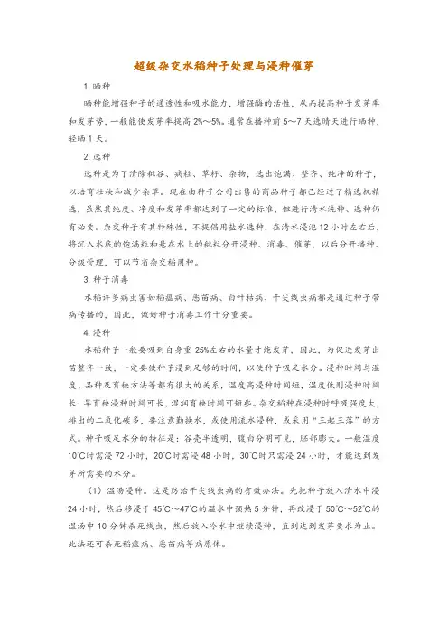 超级杂交水稻种子处理与浸种催芽