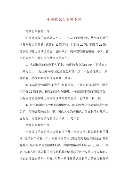 小德牧怎么看纯不纯