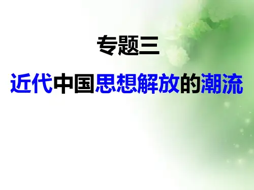 近代中国思想解放的潮流ppt10