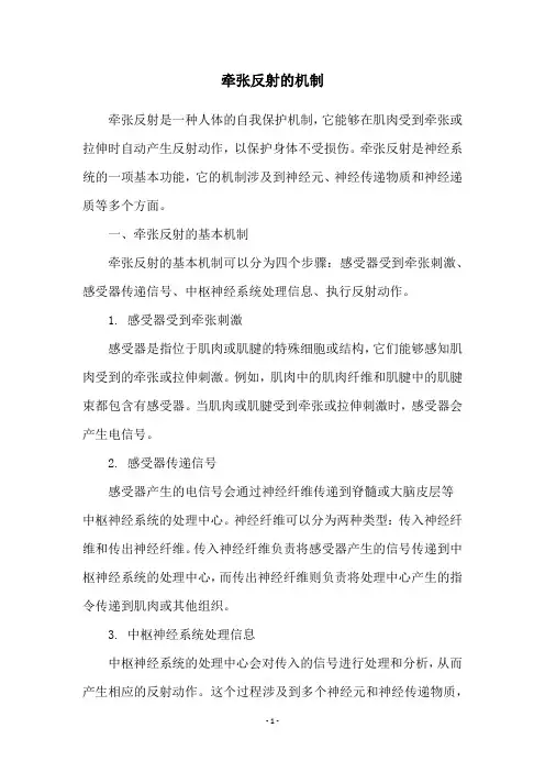 牵张反射的机制