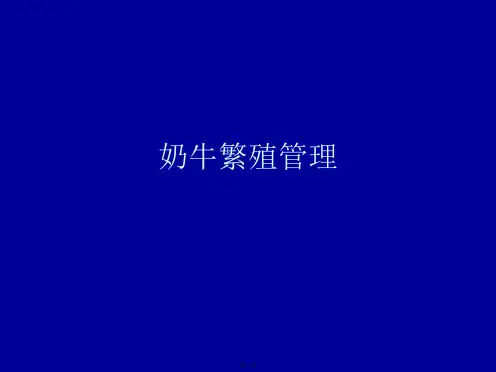 奶牛繁殖管理