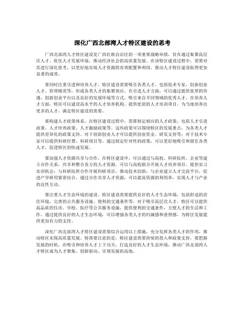 深化广西北部湾人才特区建设的思考
