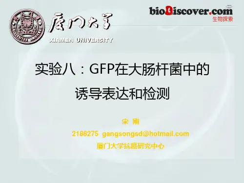 GFP在大肠杆菌中的诱导表达和检测
