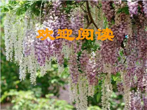 最新初中心理健康教育班会《还心灵一份宁静》ppt课件