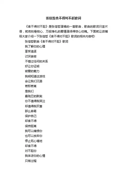 张信哲舍不得对不起歌词
