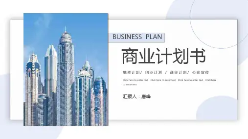 商业项目计划书模板PPT (10)