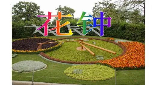 最新部编版语文三年级下册《花钟》精品ppt教学课件