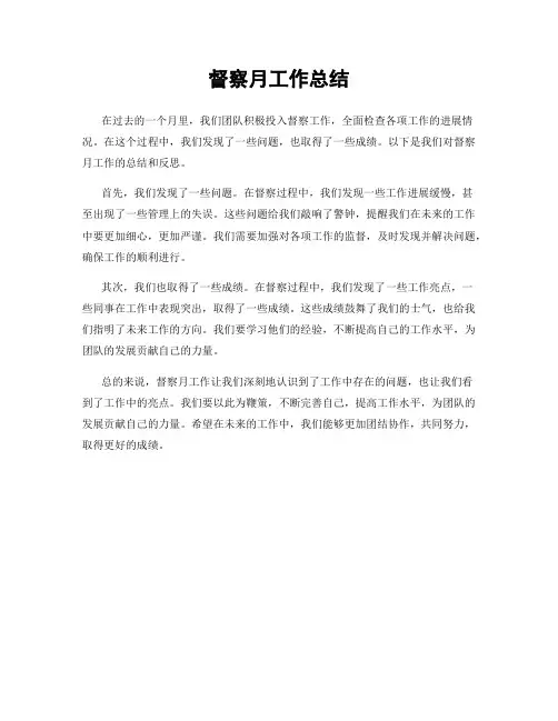 督察月工作总结