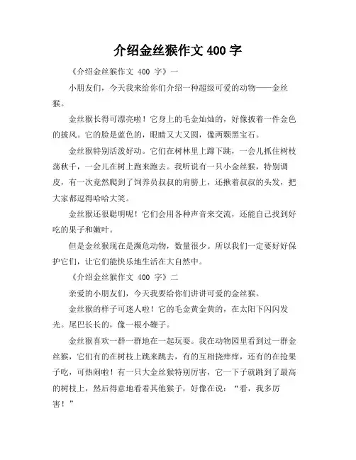 介绍金丝猴作文400字