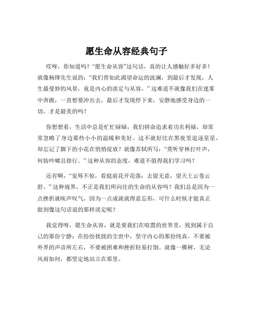 愿生命从容经典句子