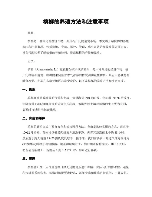 槟榔的养殖方法和注意事项