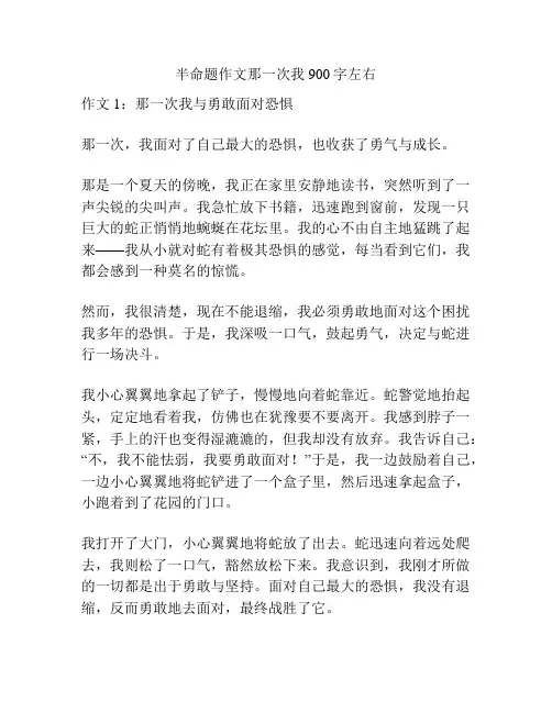 半命题作文那一次我900字左右