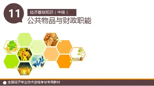 第11章 公共物品与财政职能