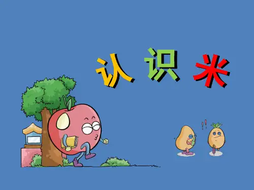 二年级上册数学课件-5.3 认识米 丨苏教版 (共16张PPT)