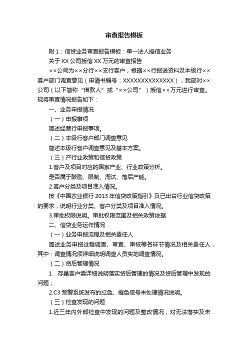 审查报告模板