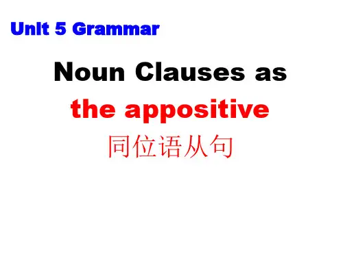高中英语教学课件：同位语从句