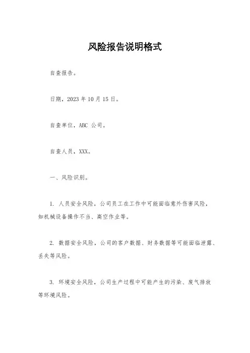 风险报告说明格式