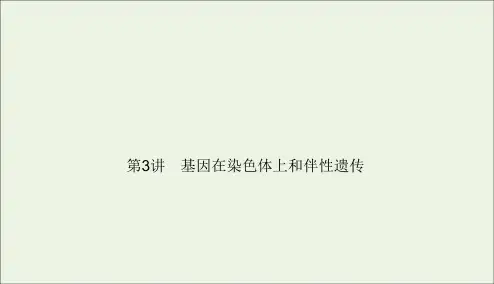 2021高考生物一轮复习第5章遗传的基本规律与伴性遗传第3讲基因在染色体上和伴性遗传课件