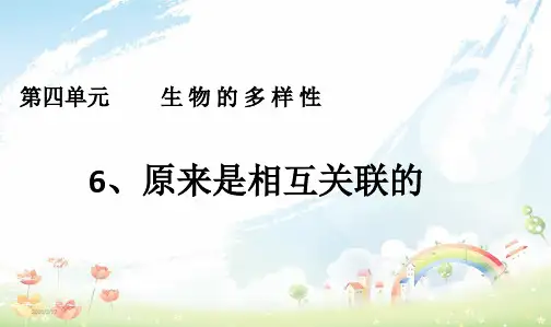 教科版小学六年级上册科学：第六节__原来是相互关联的PPT课件