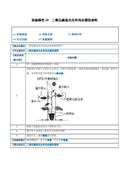 实验探究10二氧化碳是光合作用必需的原料