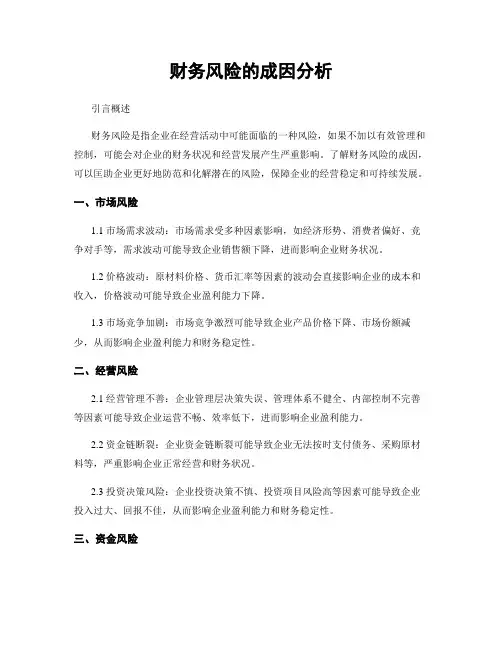 财务风险的成因分析