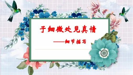 中考作文指导：《细节描写》课件