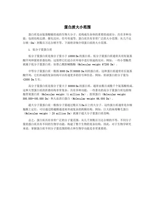蛋白质大小范围