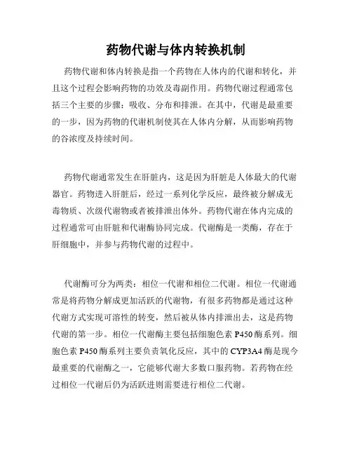 药物代谢与体内转换机制