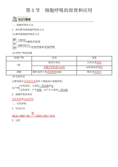 生物人教版高中必修一(2019年新编)5-3细胞呼吸的原理和应用(教案)