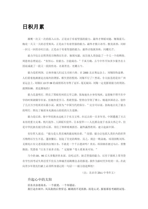 2011中考部分满分作文