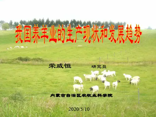 中国养羊业的现状和发展趋势
