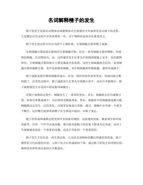 名词解释精子的发生